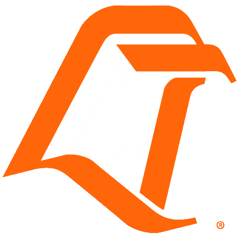 Bowling Green Falcons 1980-2005 Primary Logo Iron On Transfer